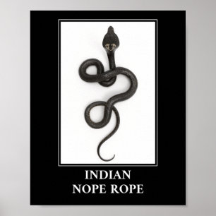 Indische nope - Cobra Snake Danger Poster