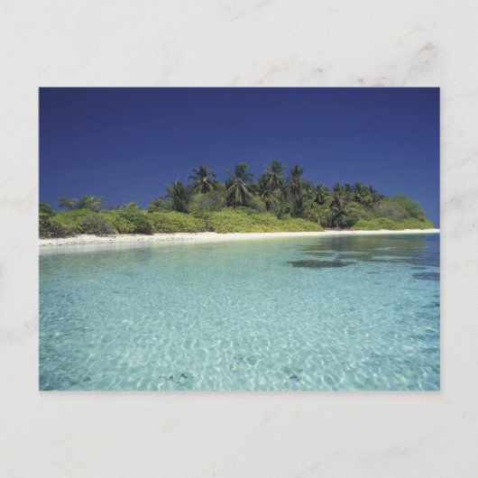 Indische Oceaan, Maldiven. (MR) Briefkaart (Voorkant)