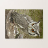 indische oehoe legpuzzel (Horizontaal)