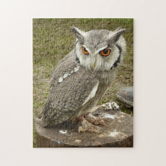 indische oehoe legpuzzel (Verticaal)