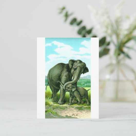 Indische olifant briefkaart (Staand voorkant)