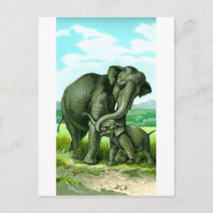 Indische olifant briefkaart