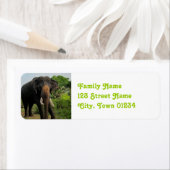 Indische olifant etiket (Insitu)