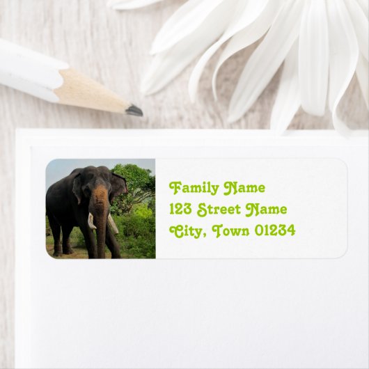 Indische olifant etiket (Insitu)