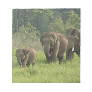 Indische Olifant Familie Notitieblok
