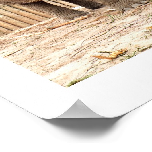 Indische olifant poster (Hoek)