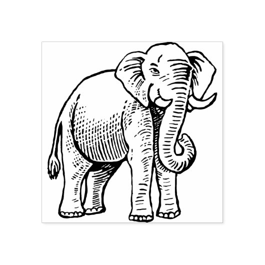 Indische olifant rubberstempel (Afrduk)