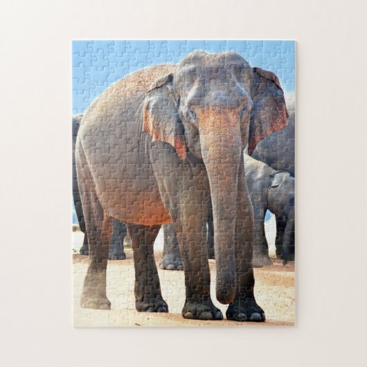 Indische olifant Sri Lanka. Legpuzzel (Verticaal)