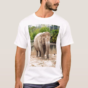 Indische olifant t-shirt