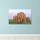 Indische olifanten in het grasland canvas afdruk (Insitu (Houten vloer))