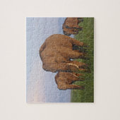 Indische olifanten in het grasland legpuzzel (Verticaal)