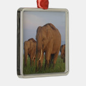 Indische olifanten in het grasland metalen ornament (Rechts)