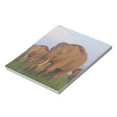 Indische olifanten in het grasland notitieblok (Linkerzijde)