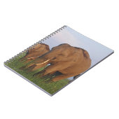 Indische olifanten in het grasland notitieboek (Linkerzijde)