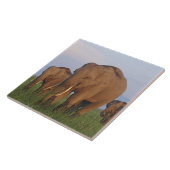 Indische olifanten in het grasland tegeltje (Zijkant)