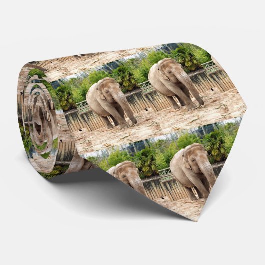 Indische olifanten stropdas (Opgerold)