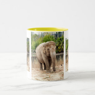 Indische olifanten tweekleurige koffiemok