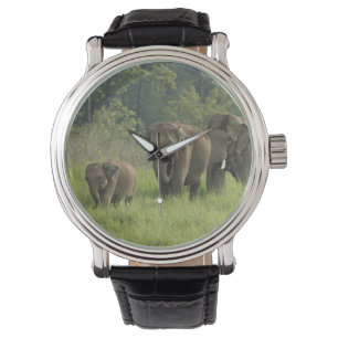 Indische Olifantenfamilie Horloge