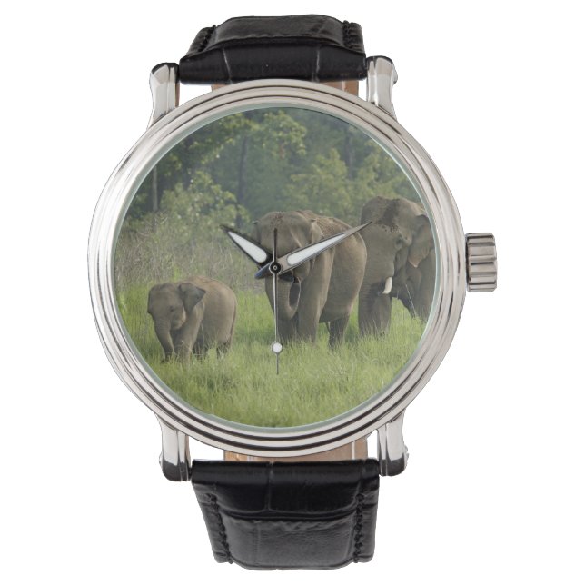 Indische Olifantenfamilie Horloge (Voorkant)