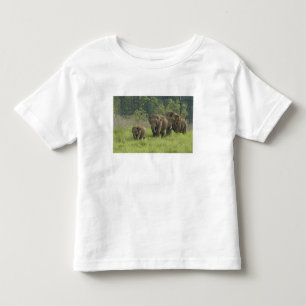 Indische Olifantenfamilie Kinder Shirts