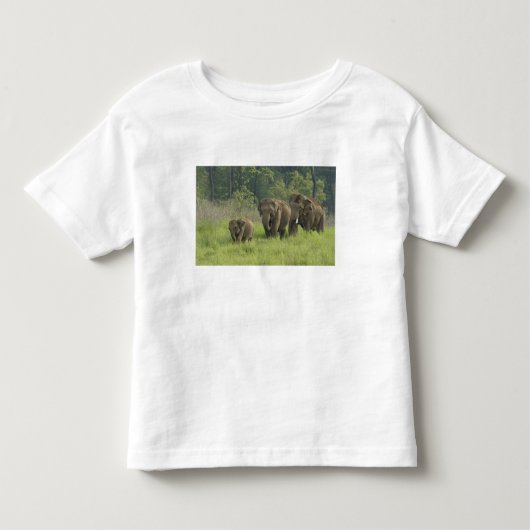 Indische Olifantenfamilie Kinder Shirts (Voorkant)