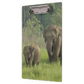 Indische Olifantenfamilie Klembord (Links)