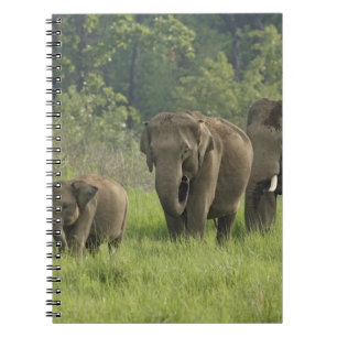 Indische Olifantenfamilie Notitieboek