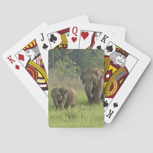 Indische Olifantenfamilie Pokerkaarten (Achterkant)