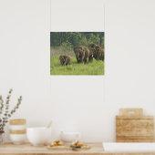 Indische Olifantenfamilie Poster (Keuken)