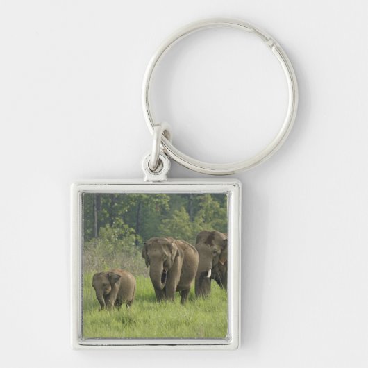 Indische Olifantenfamilie Sleutelhanger (Voorkant)