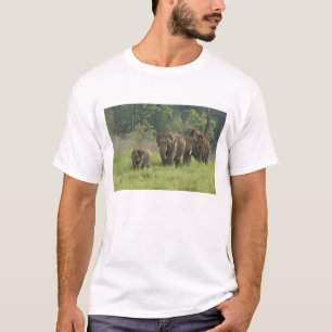 Indische olifantenfamilie t-shirt