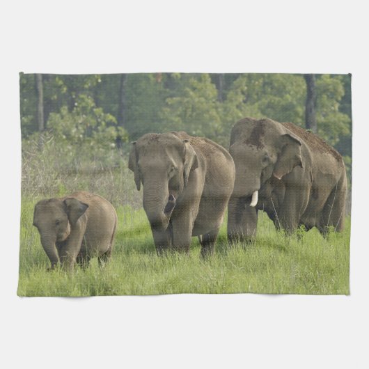 Indische Olifantenfamilie Theedoek (Horizontaal)
