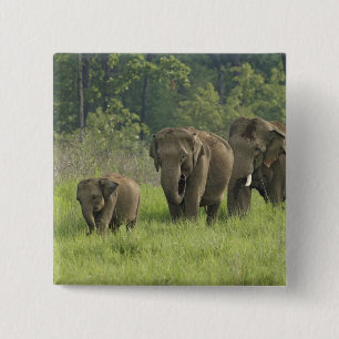Indische Olifantenfamilie Vierkante Button 5,1 Cm