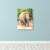 Indische olifantenplant canvas afdruk (Insitu (Houten vloer))