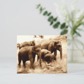 Indische olifantensepia briefkaart (Staand voorkant)