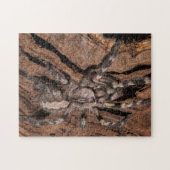Indische ornamental Tarantula Bark Legpuzzel (Horizontaal)