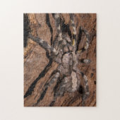 Indische ornamental Tarantula Bark Legpuzzel (Verticaal)