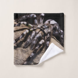 Indische ornamentarige tarantula washandje