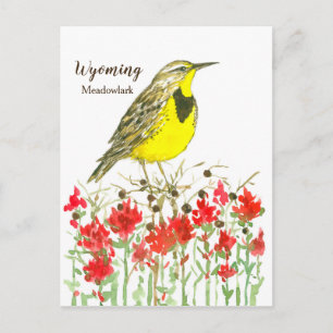 Indische Paintborstel Meadowlark State Bird of Wyo Briefkaart