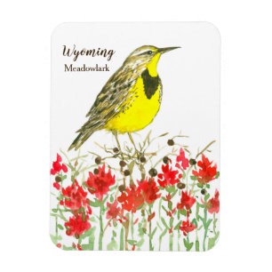 Indische Paintborstel Meadowlark Wyoming Magneet