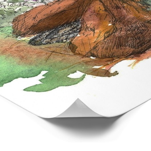 Indische Paintborstelbloemen woestijnlandschap Poster (Hoek)