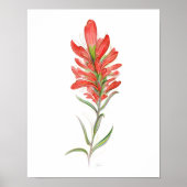 Indische Paintpenseel Rode Wilde Kunst Poster (Voorkant)