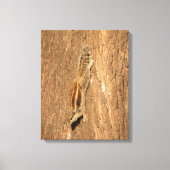 Indische palmvierkant op een boomstam canvas afdruk (Voorkant)
