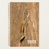 Indische palmvierkant op een boomstam planner (Voorkant)