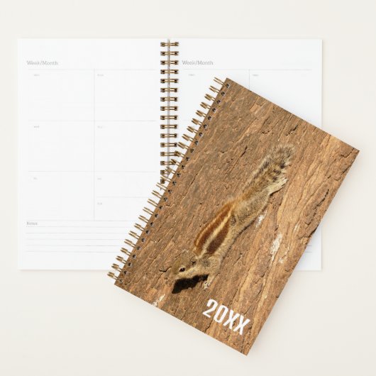 Indische palmvierkant op een boomstam planner (Display)