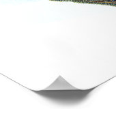 Indische pauw poster (Hoek)