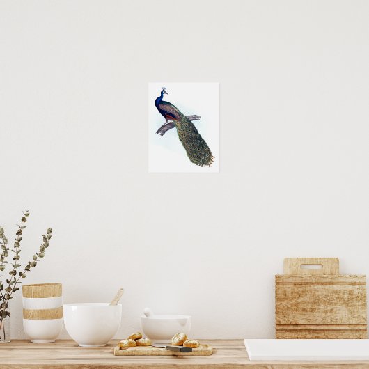 Indische pauw poster (Keuken)