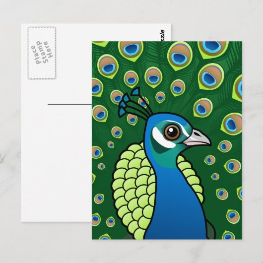 Indische peafowl briefkaart (Voorkant / Achterkant)