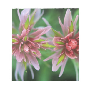 Indische penseel, Banff NP, Alberta, Canada Notitieblok