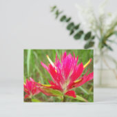 Indische penseel briefkaart (Staand voorkant)